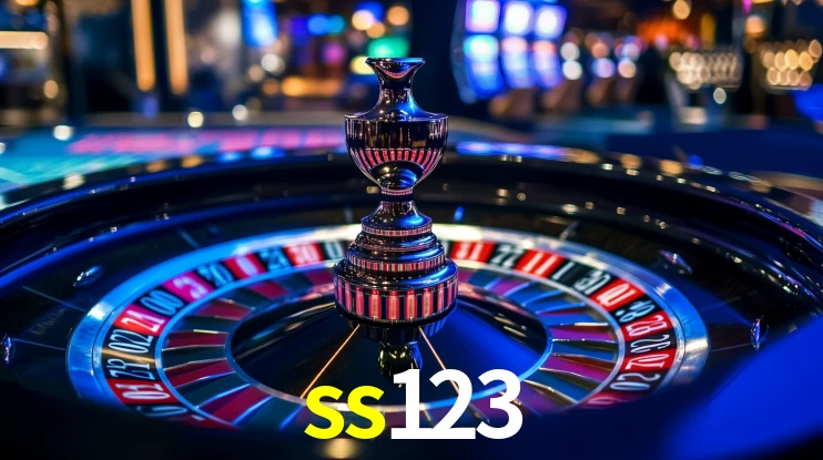 ss123 App Interface